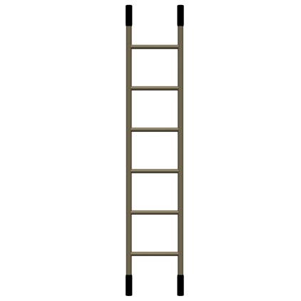 assault ladder basic