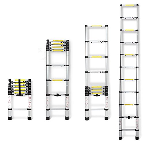 telescopic ladder