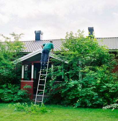 Man climbing a ladder in front of a summer house