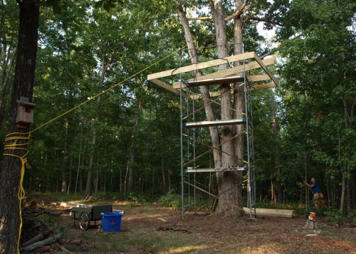 scaffolding with tree house